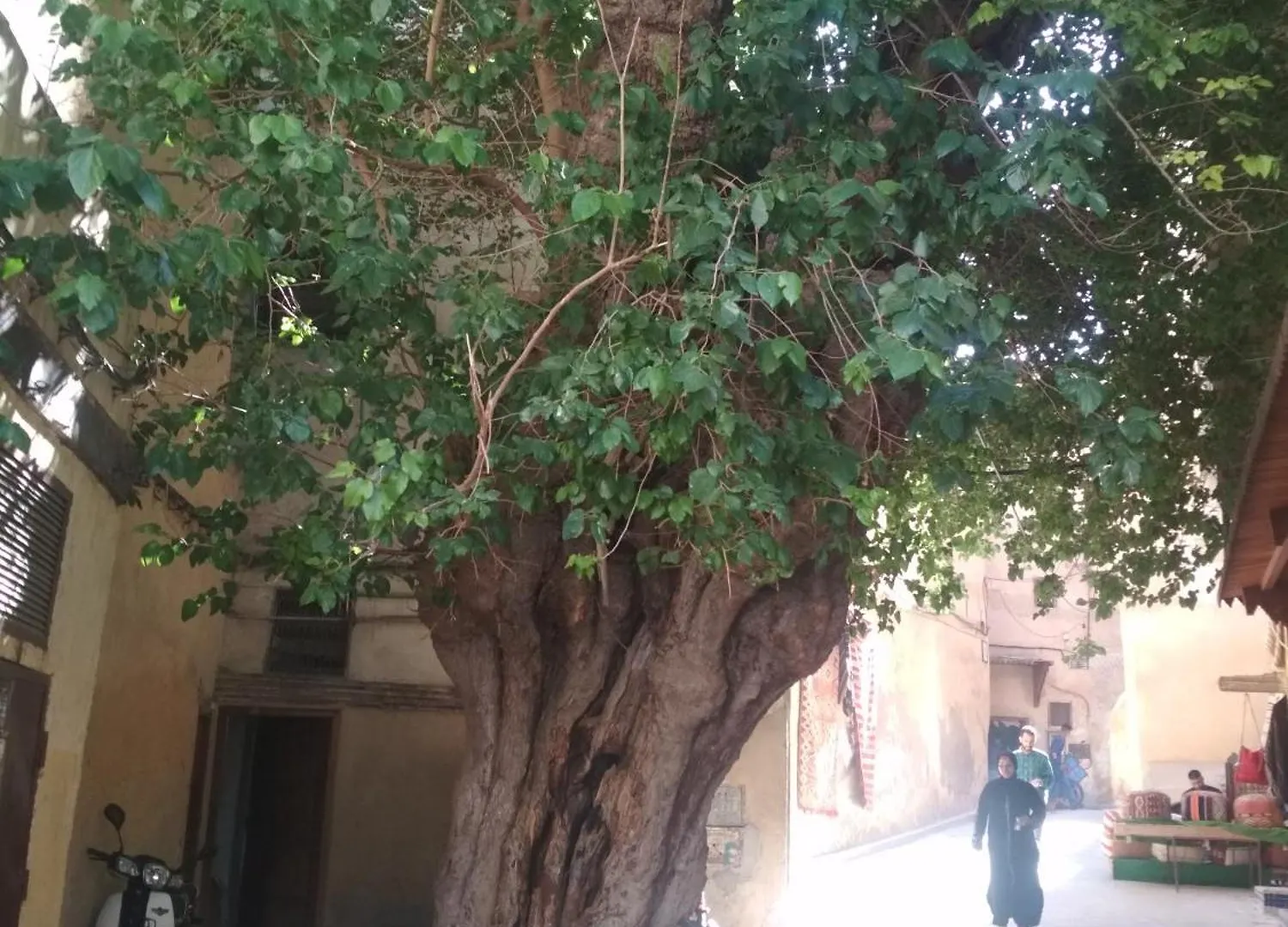 Homestay Happy Housse Apartment Fes Morocco